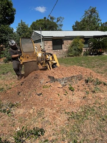 Tree Service