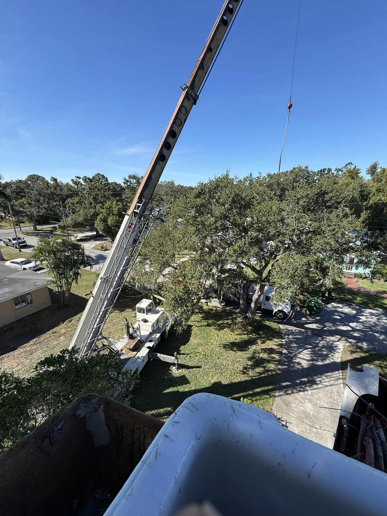 Tree Removal