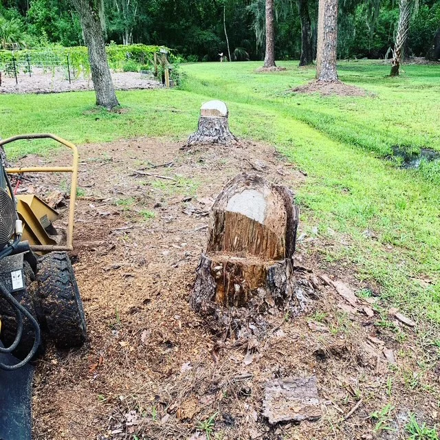 Stump Grinding