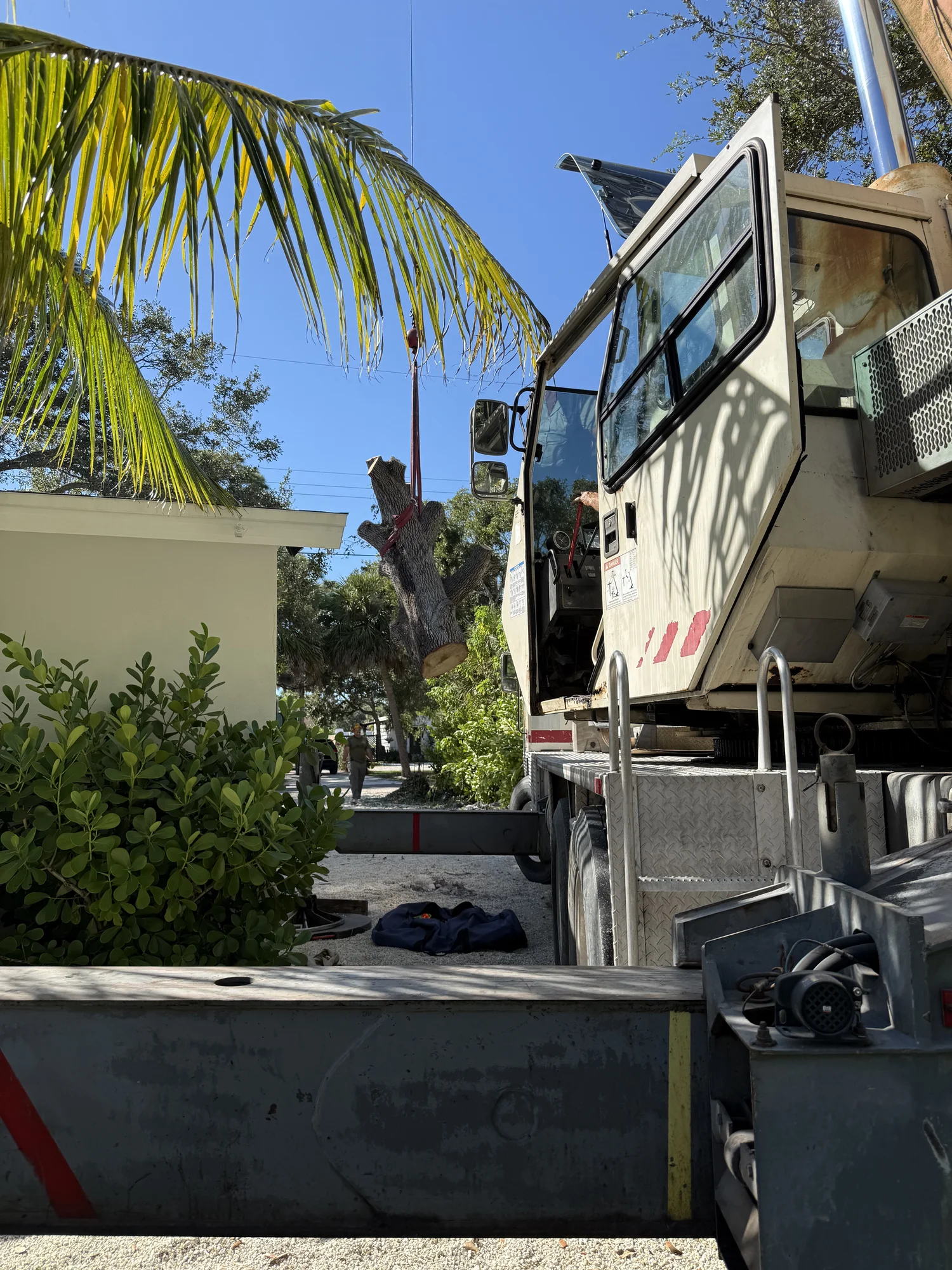 Emergency Tree Removal