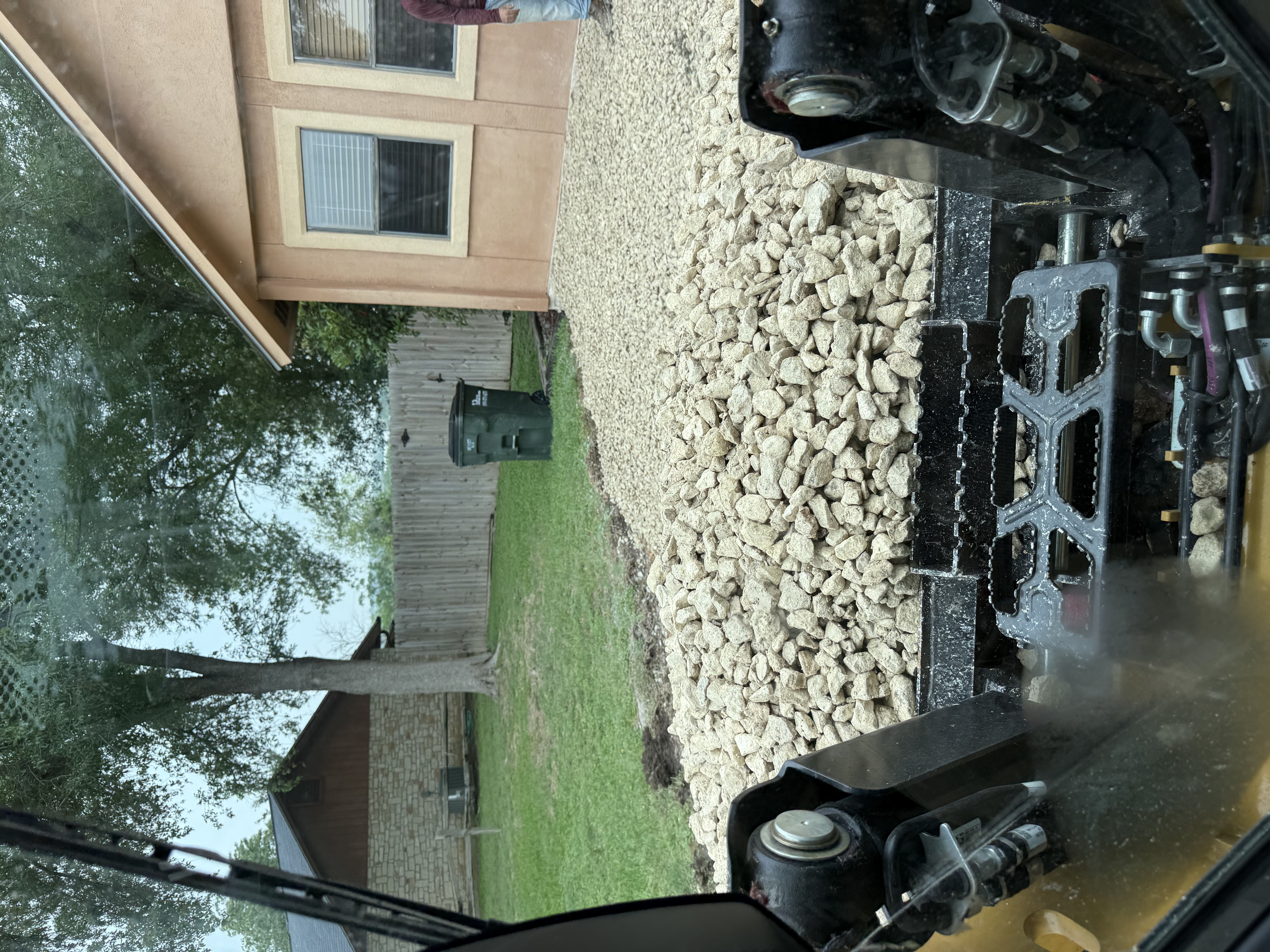 Tree Service