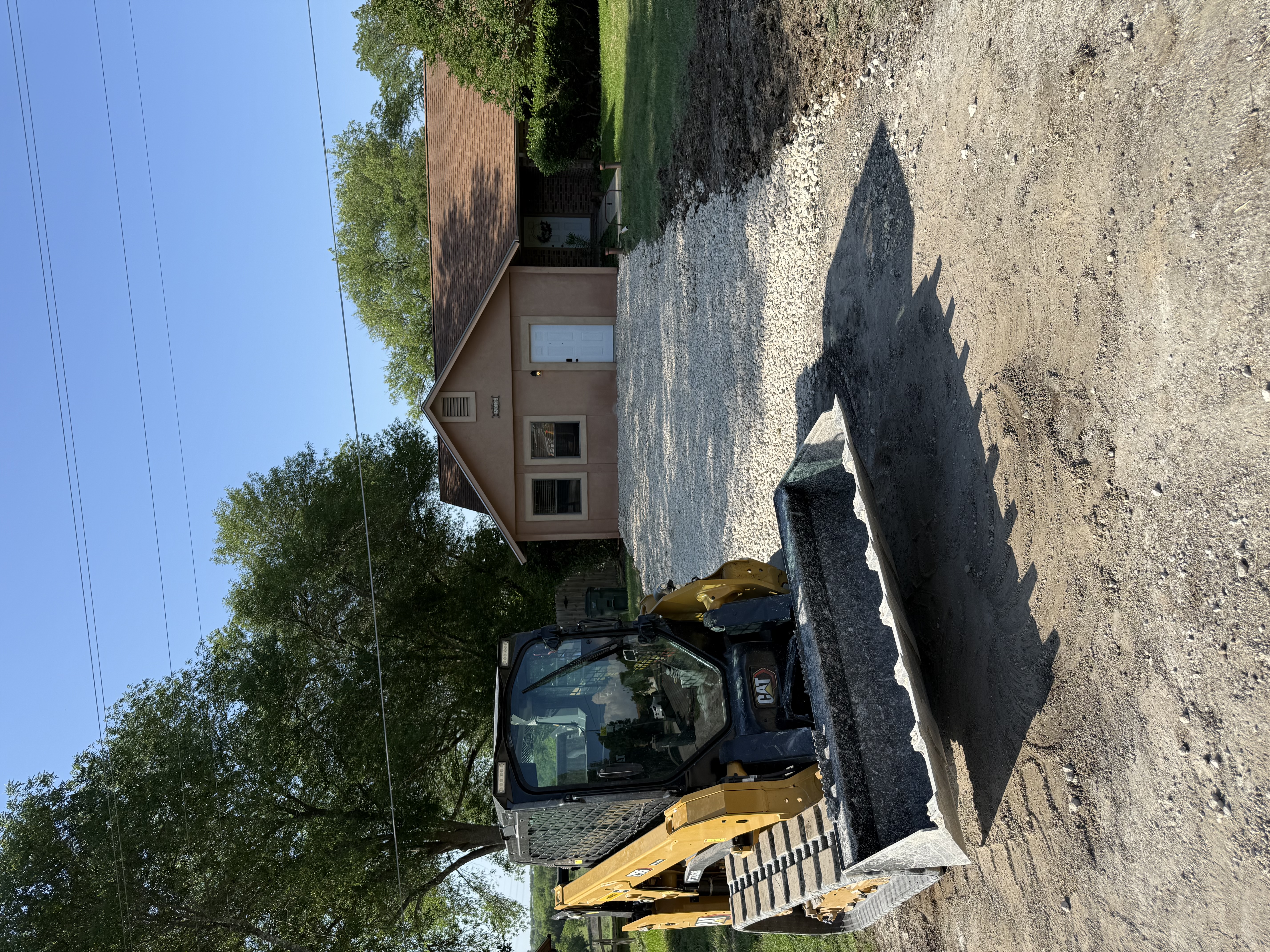 Tree Service