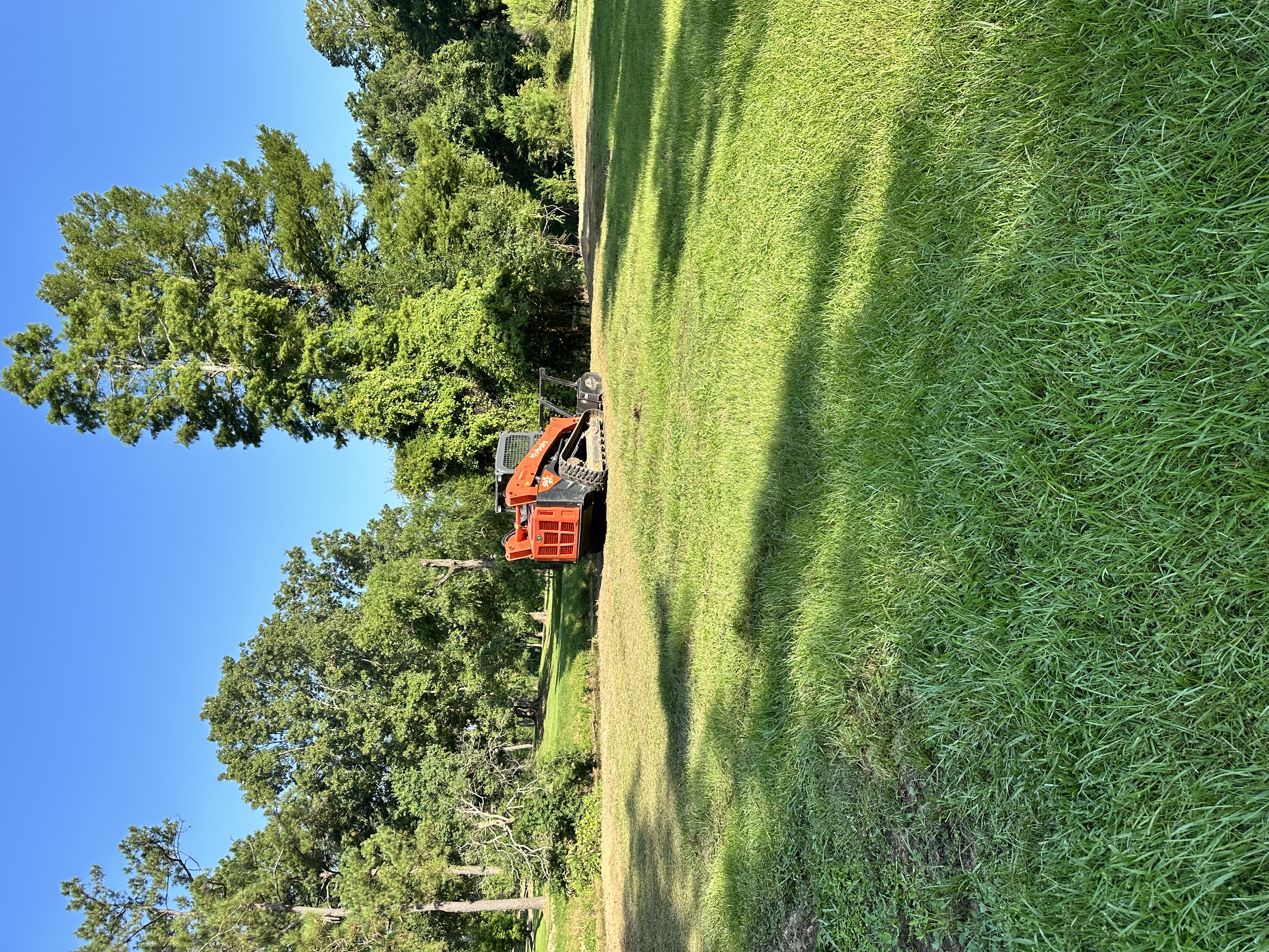 Tree Service