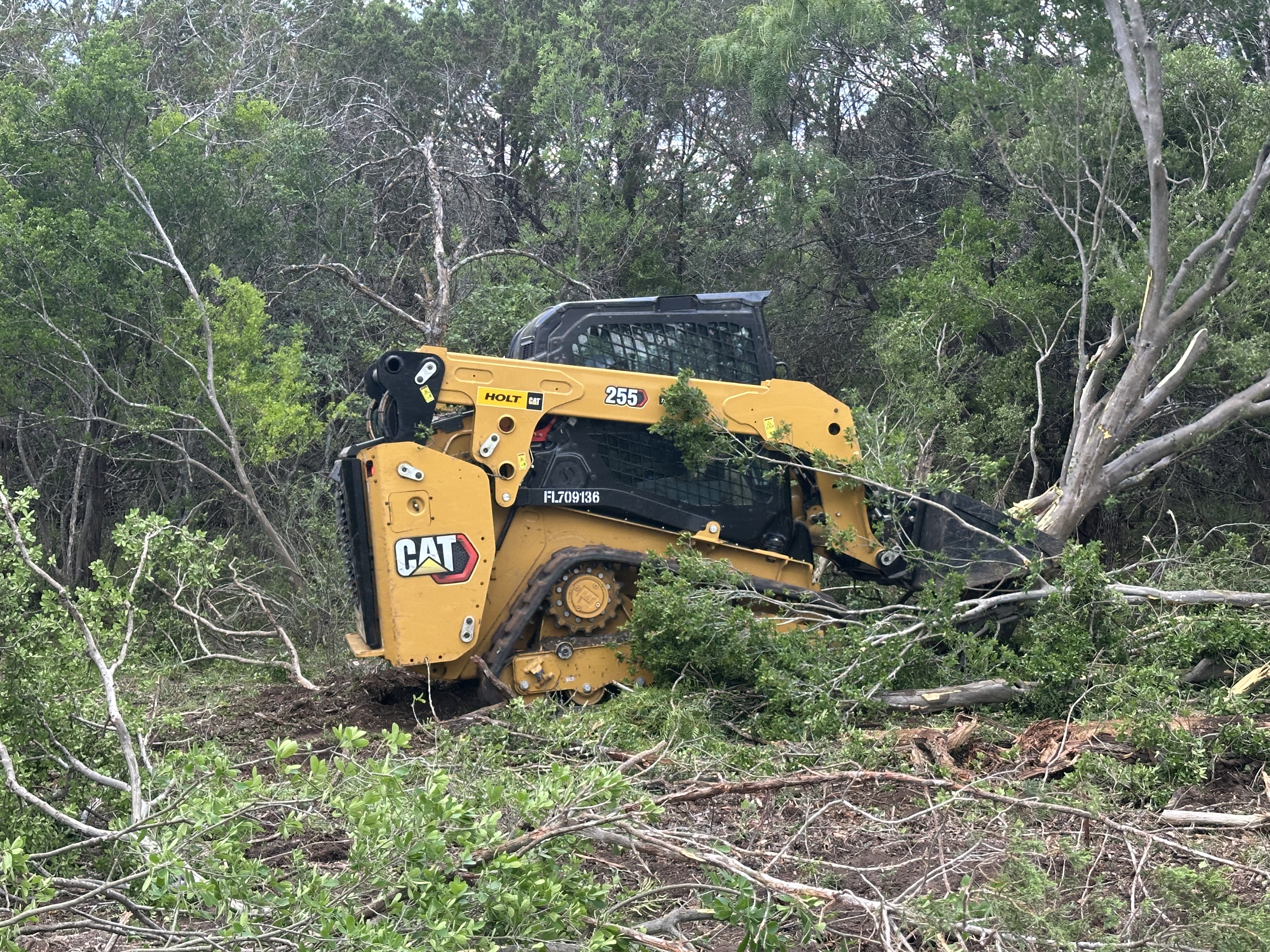 Tree Service