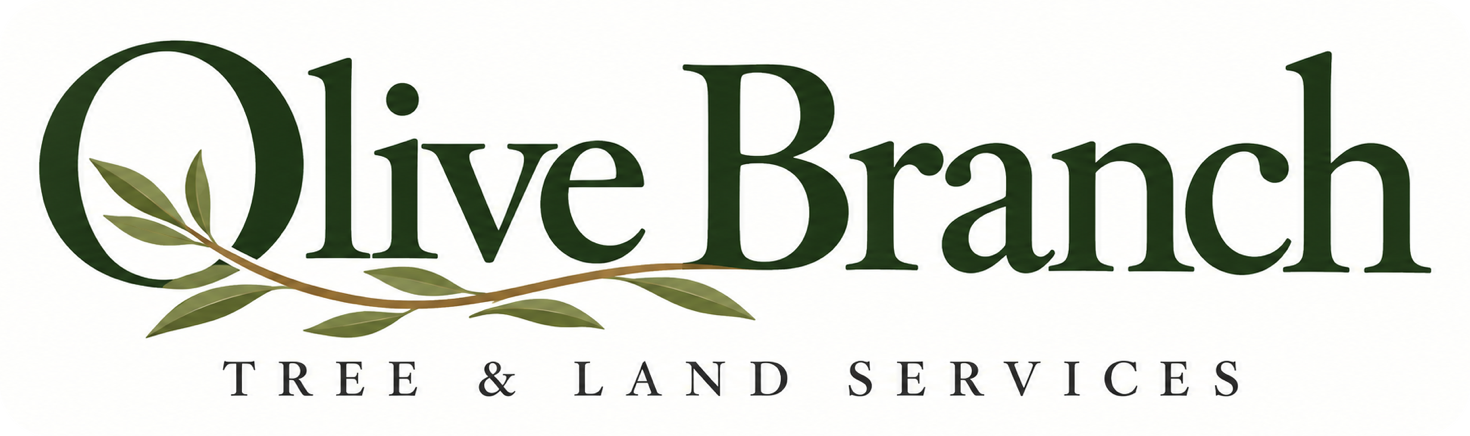 About Olive Branch Tree and Land Services | Tree Service in ...
